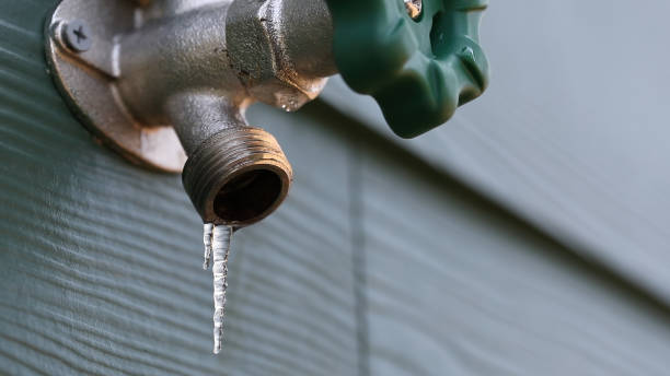 Best Plumbing Repair Near Me  in Jackson, MN
